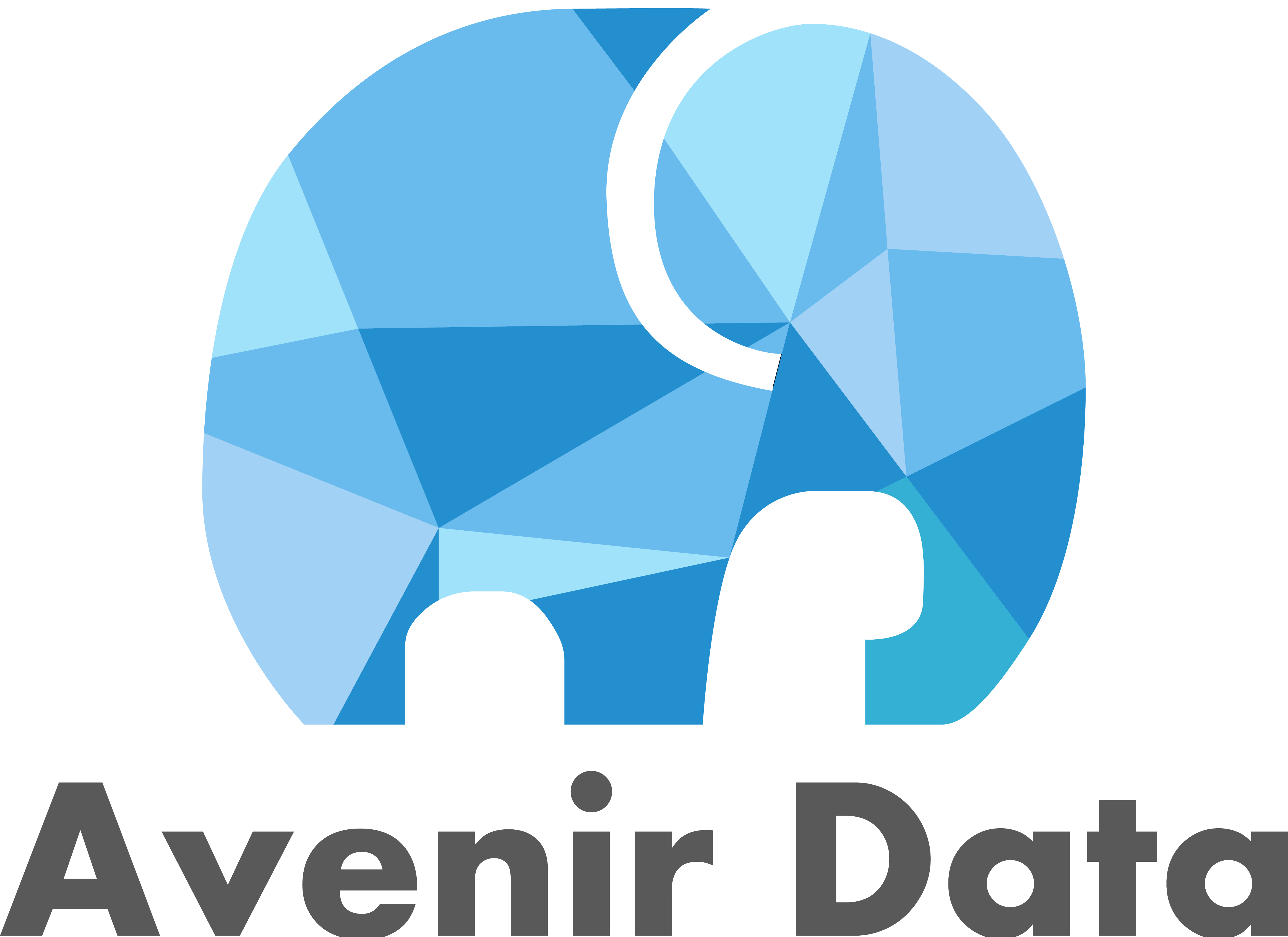 logo-avenir-data-01